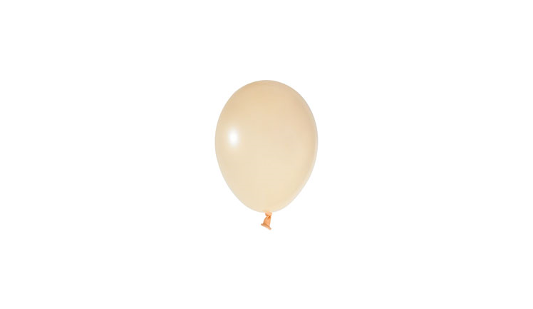 5’’%20Balonevi%20Somon%20Lateks Balon%201%20adet